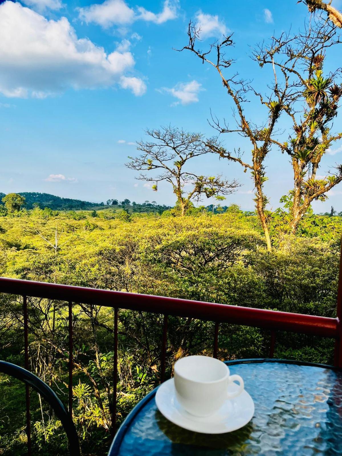 Garza Del Sol Glamping Rio Celeste Buganvilia المظهر الخارجي الصورة